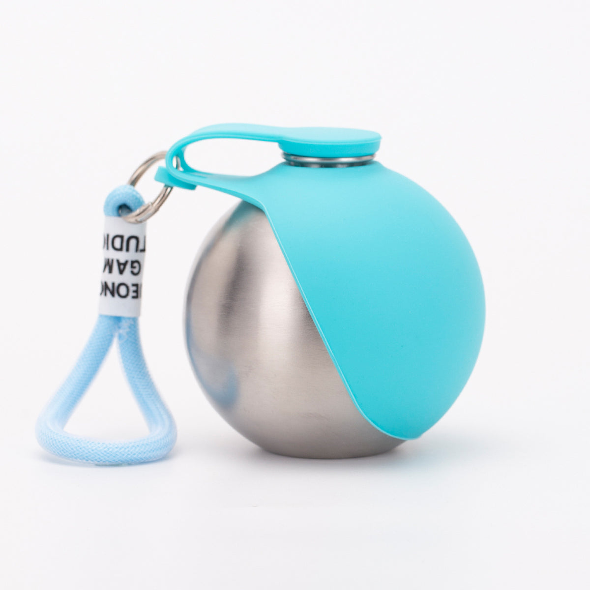 Portable Stainless Steel Dog Water Bottle with Foldable Bowl and Carabiner